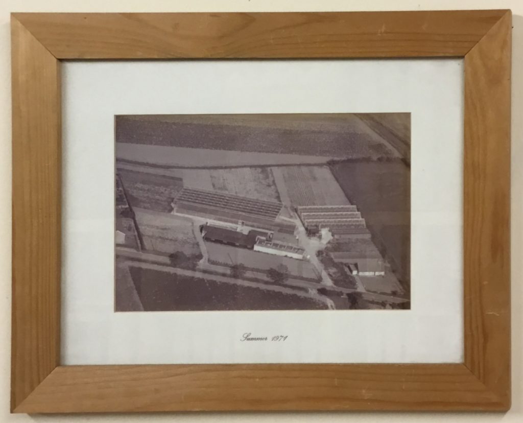 About Hillcrest Nurseries 1971
